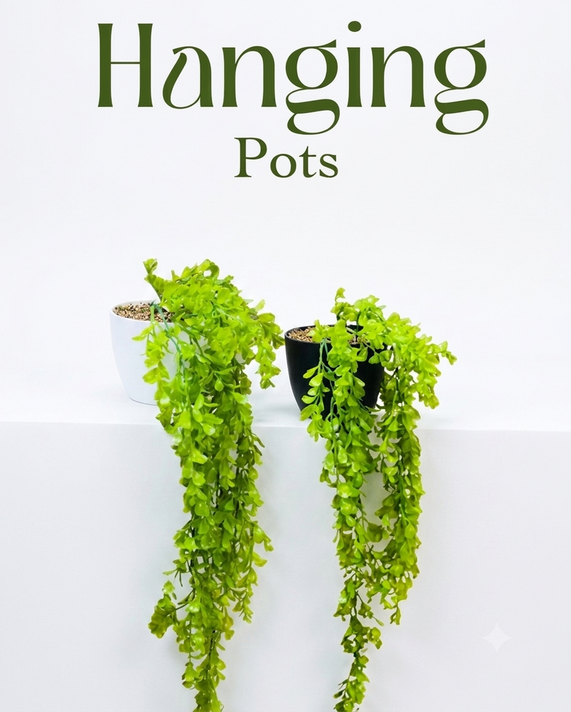 Hanging Pots