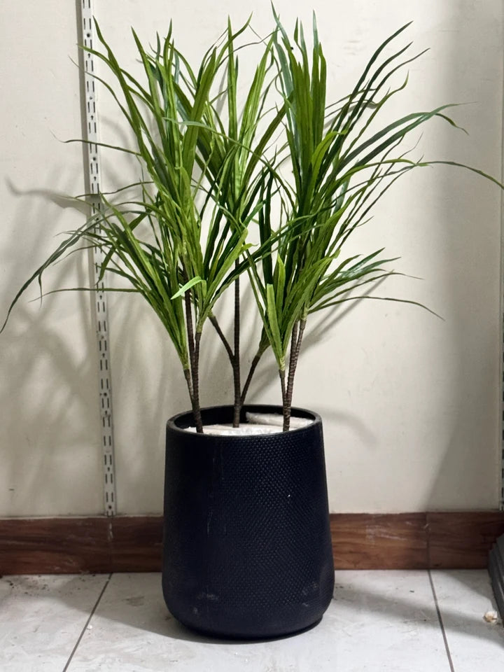 Dracaena Plant Stems – Premium Real-Looking