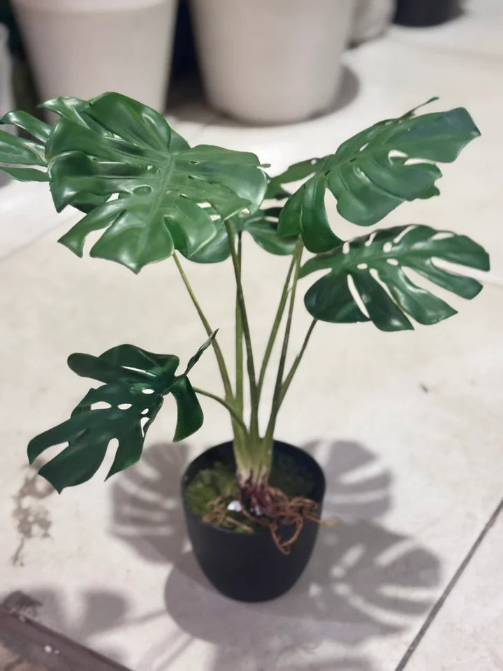 Mini rubber Monstera