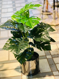 Steel planters with plants