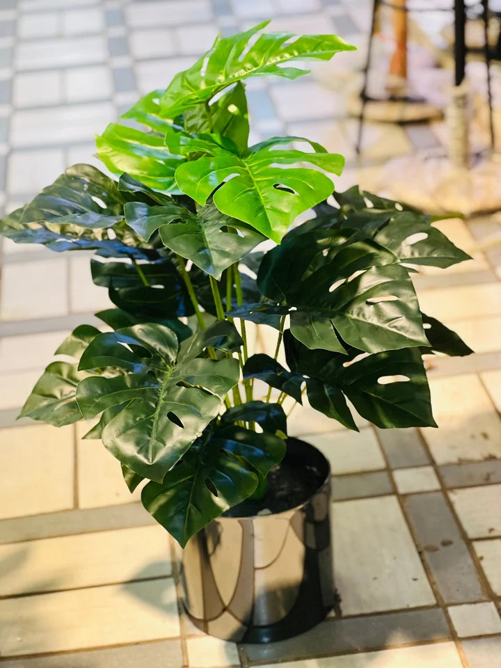 Steel planters with plants