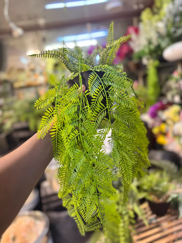 Premium Lush Hanging Plants