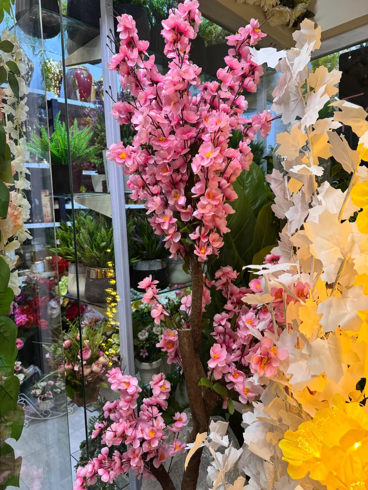Floral plants