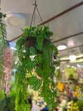 Hanging Jute Baskets