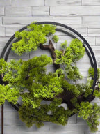 Wall Mounted Bonsai