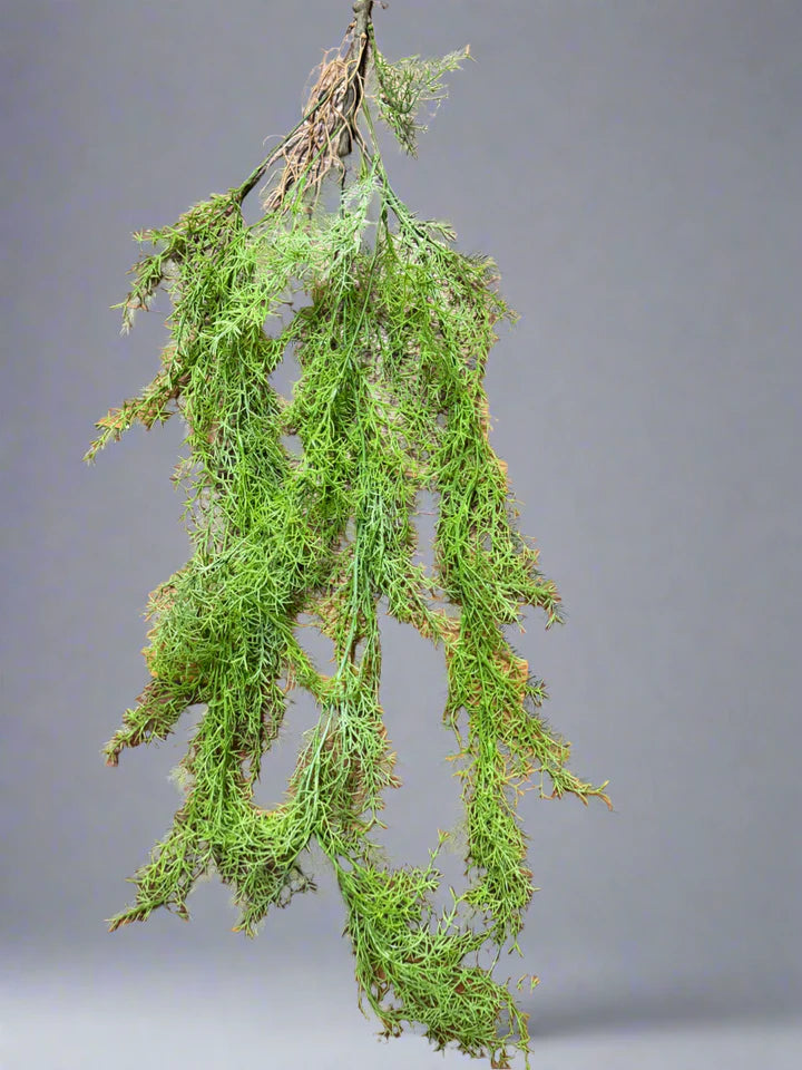 Forest Drop Vines