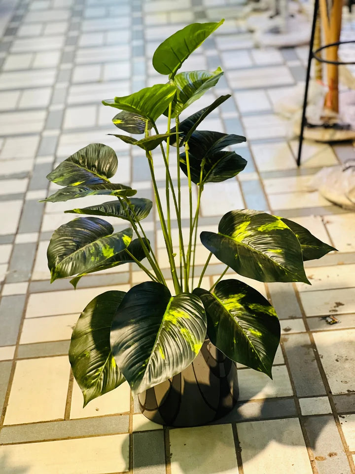 Steel planters with plants