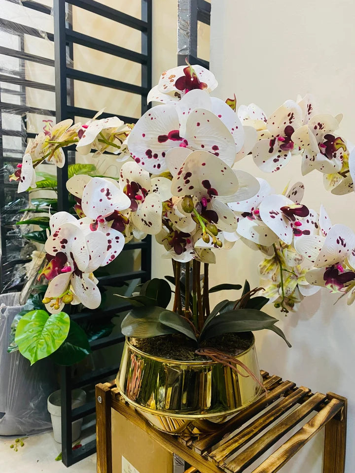 Orchids With Steel Pot