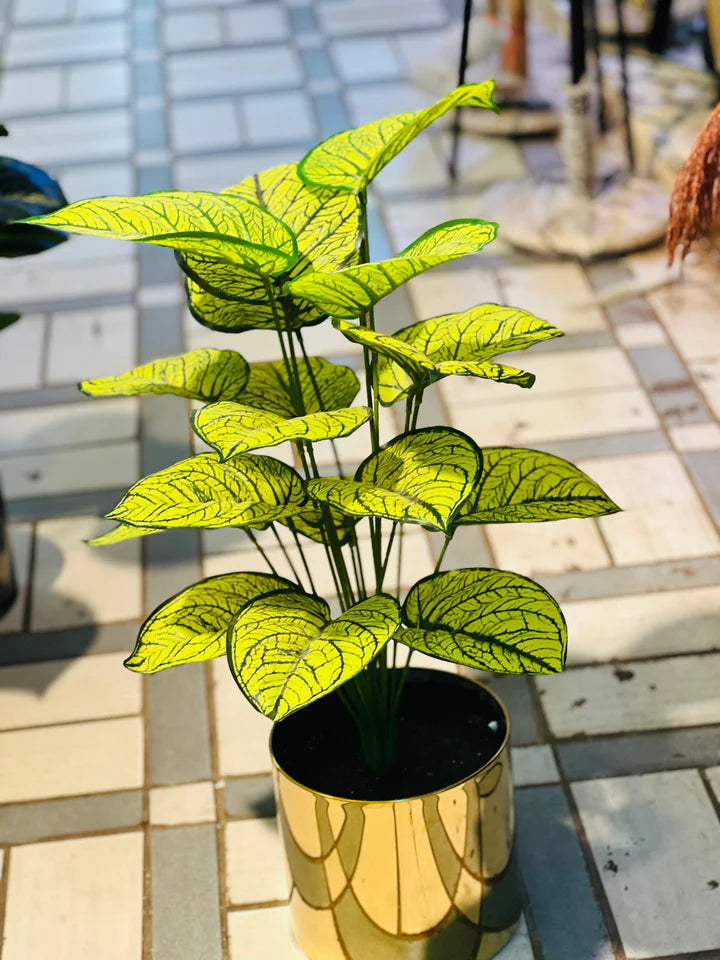 Steel planters with plants