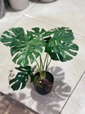 Mini rubber Monstera