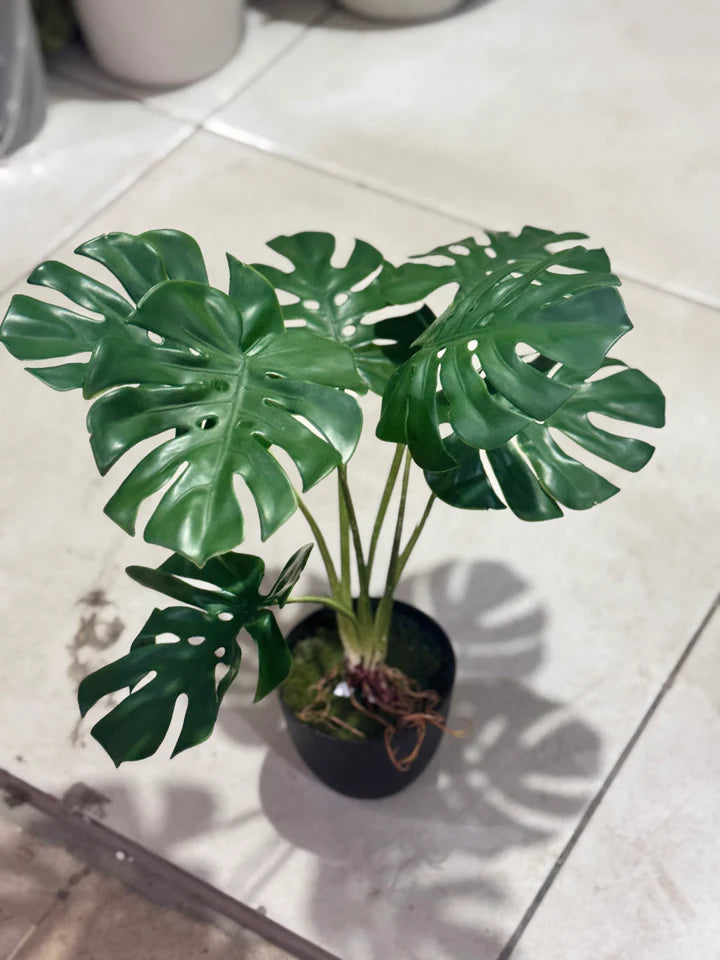 Mini rubber Monstera
