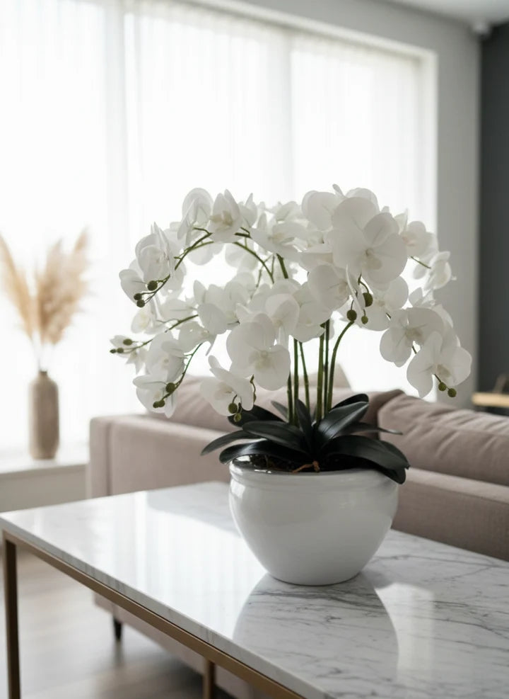 Premium Phalaenopsis Ceramic Bowl