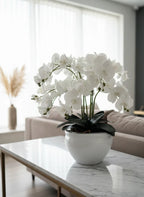 Premium Phalaenopsis Ceramic Bowl