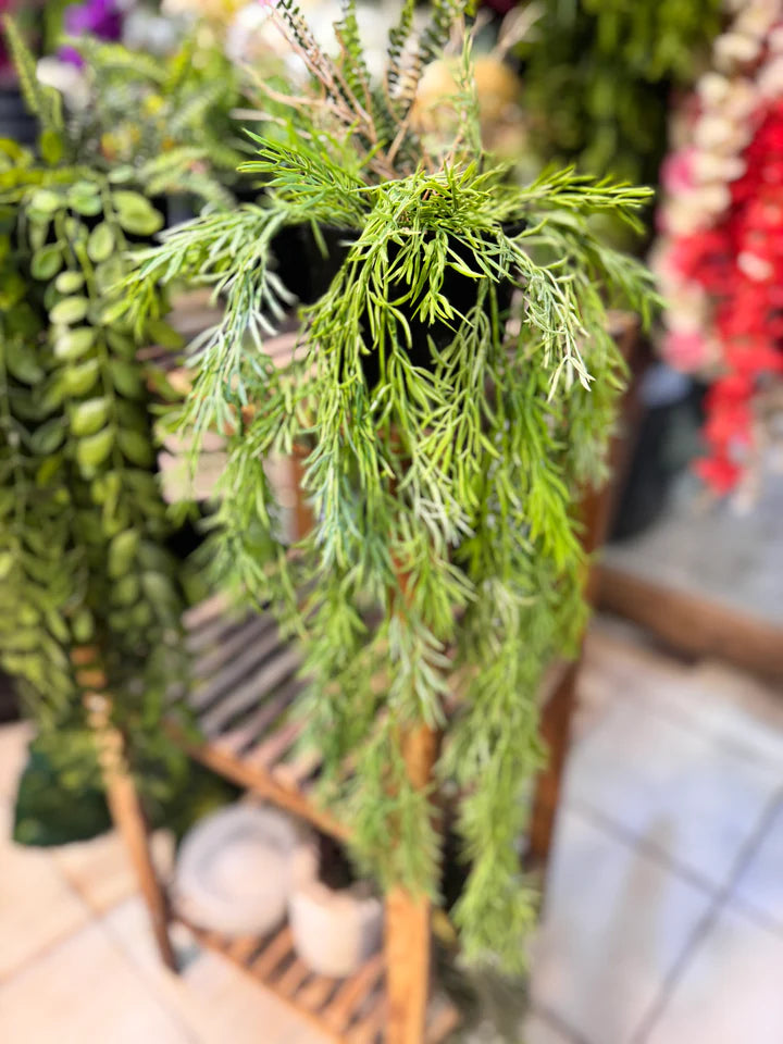 Premium Lush Hanging Plants