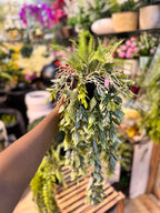 Premium Lush Hanging Plants