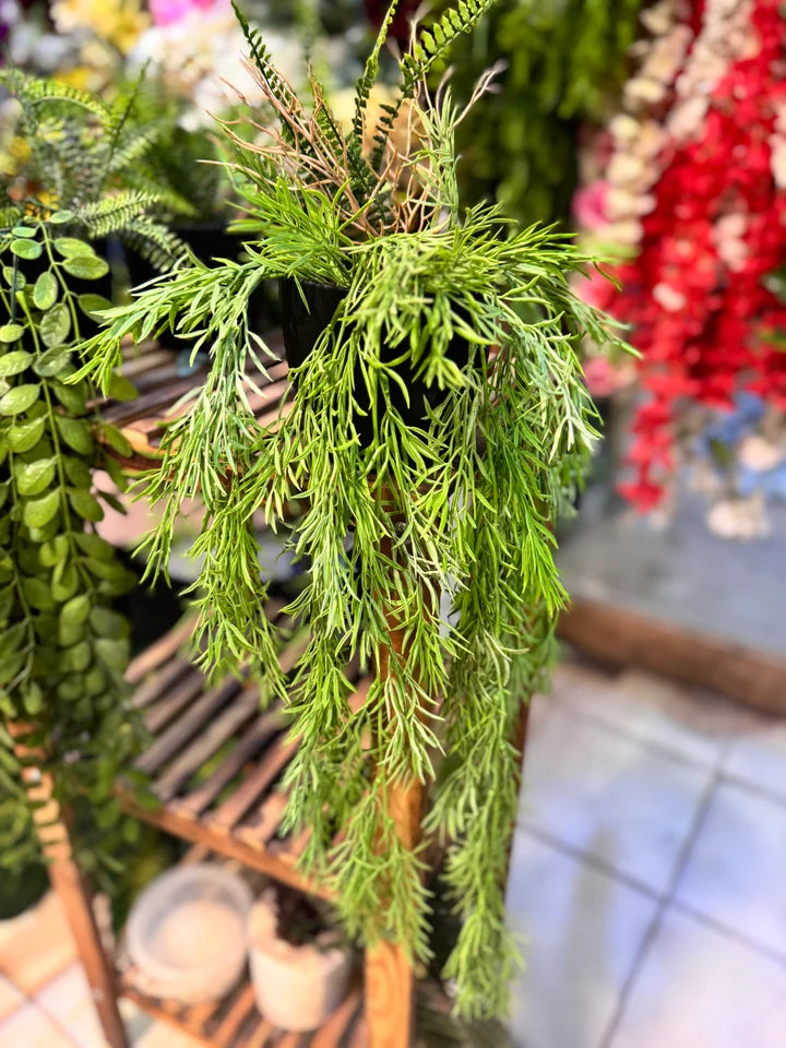Premium Lush Hanging Plants