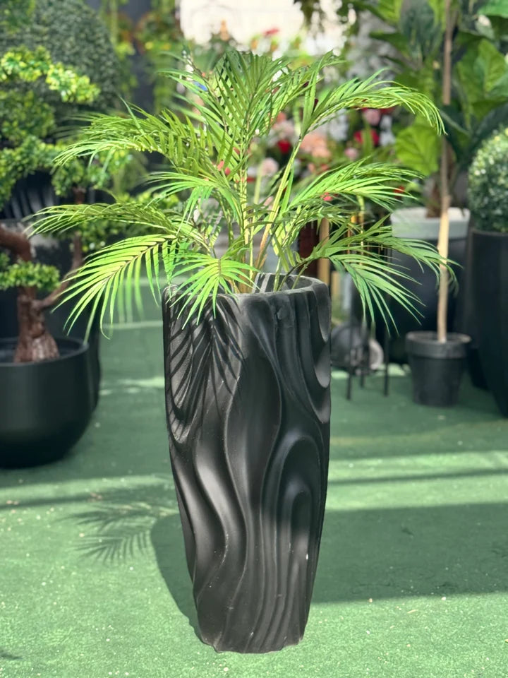Exclusive areeca palm with planter