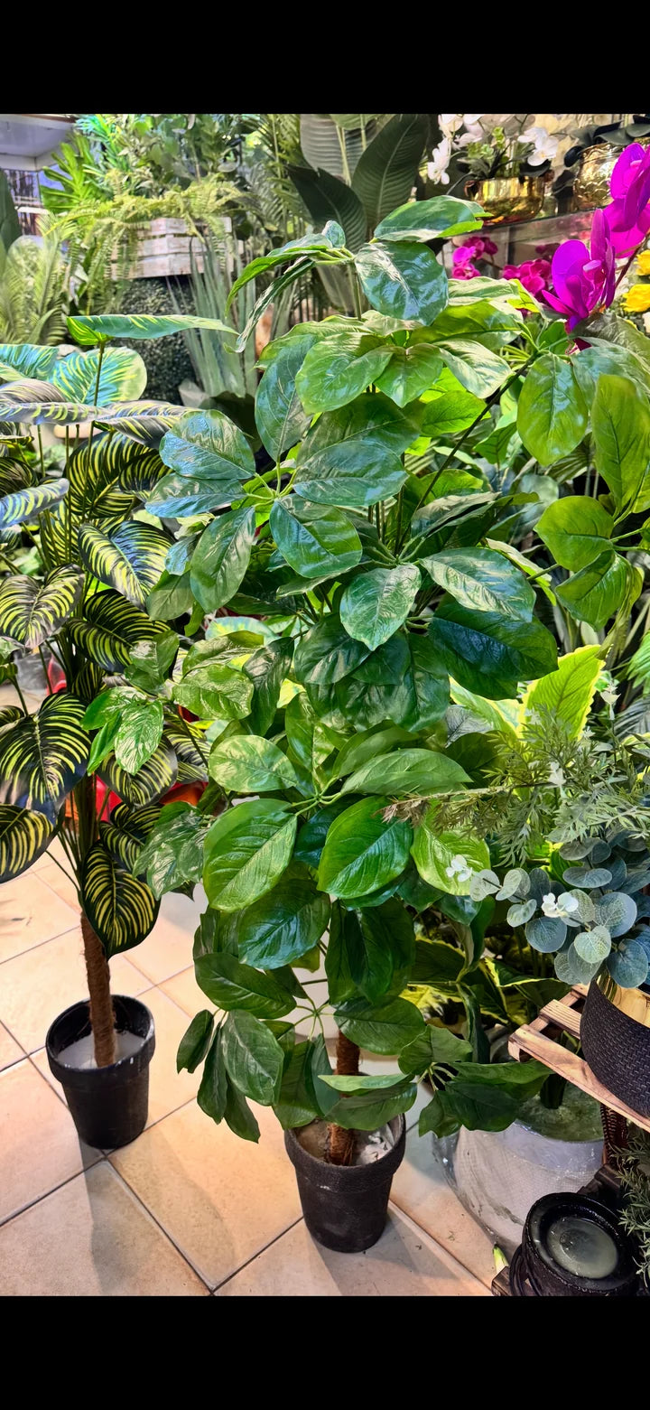36 leaves Arrangments