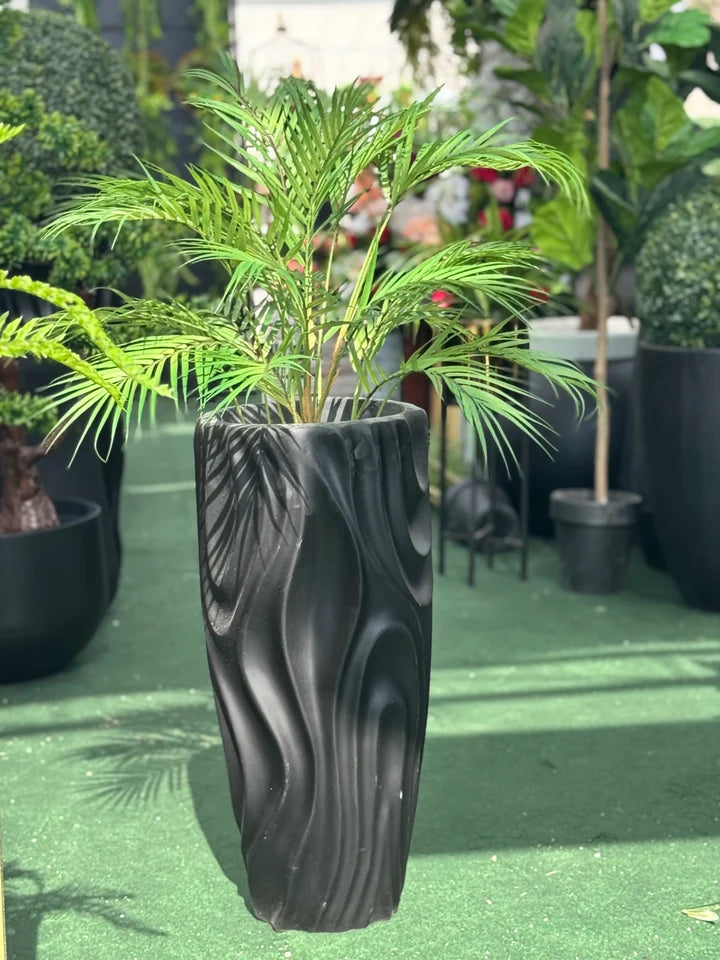 Exclusive areeca palm with planter