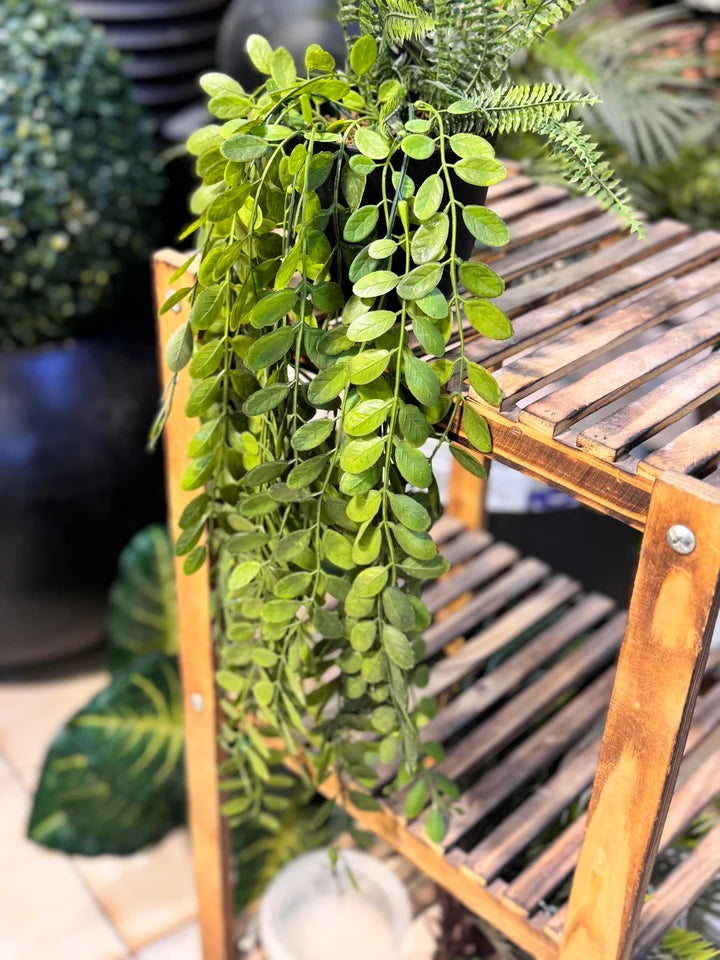 Premium Lush Hanging Plants