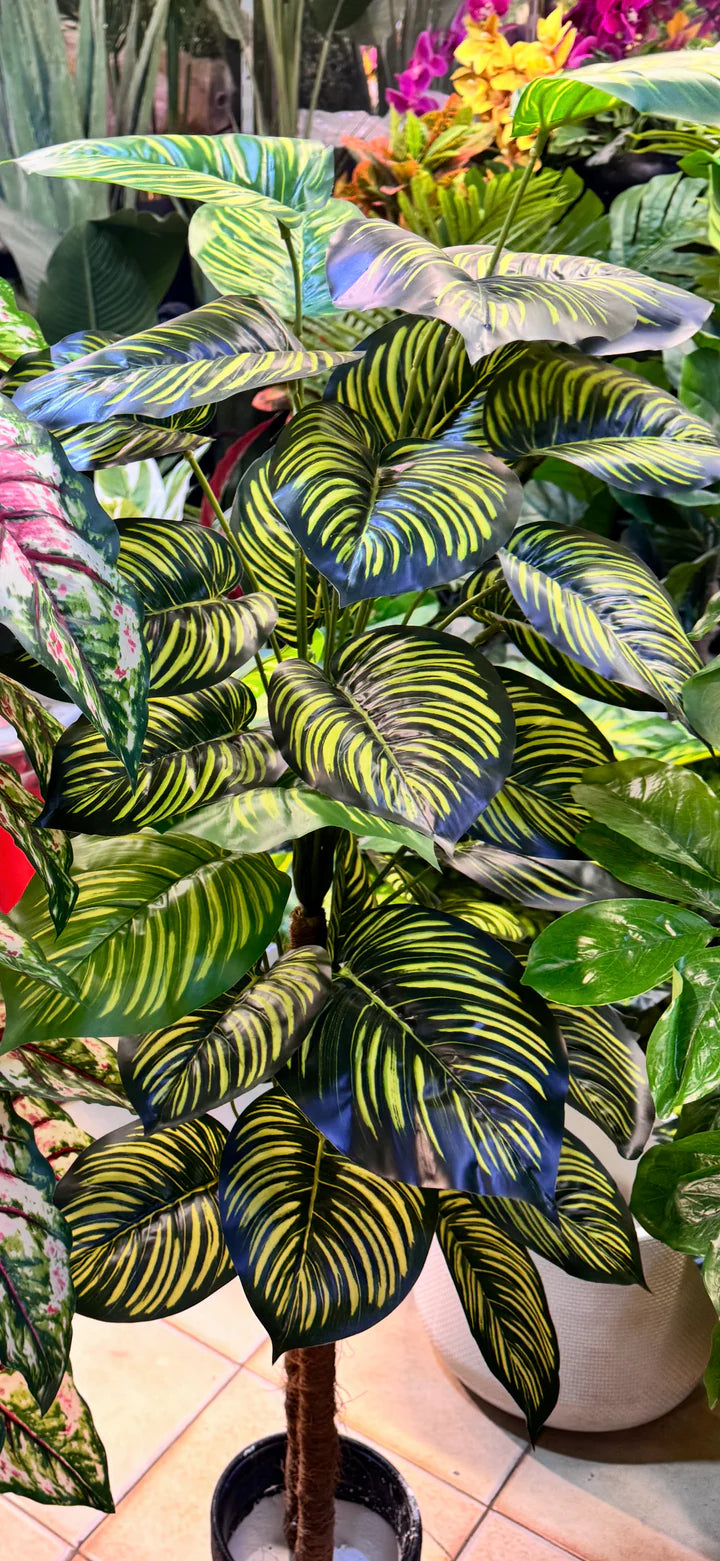 36 leaves Arrangments