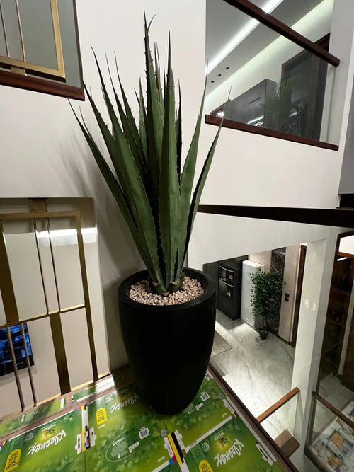 Aloe Vera With Fiber Planter