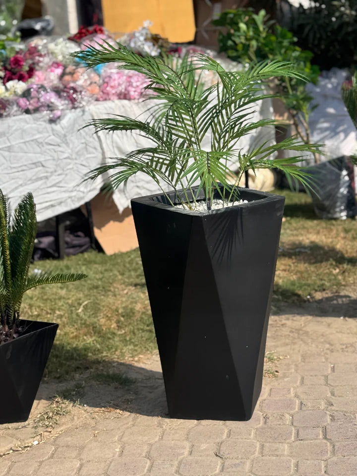 Exclusive areeca palm with planter