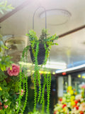 Metal Pot Hanging with Wines