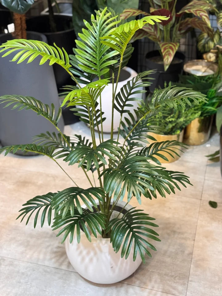Palm Leaves With Pot