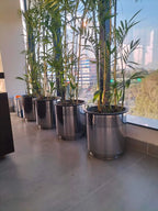 Stainless Steel Pots
