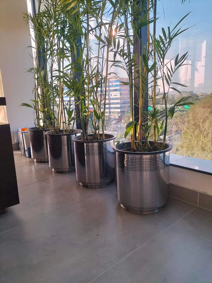 Stainless Steel Pots