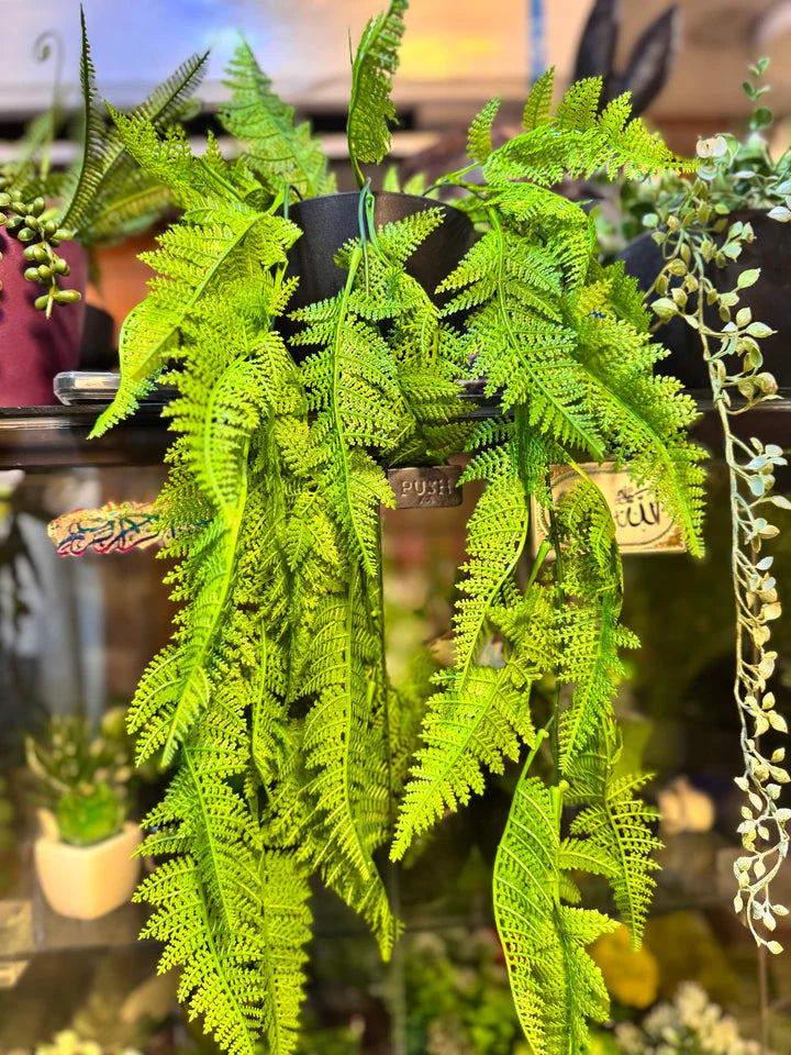 Premium Lush Hanging Plants