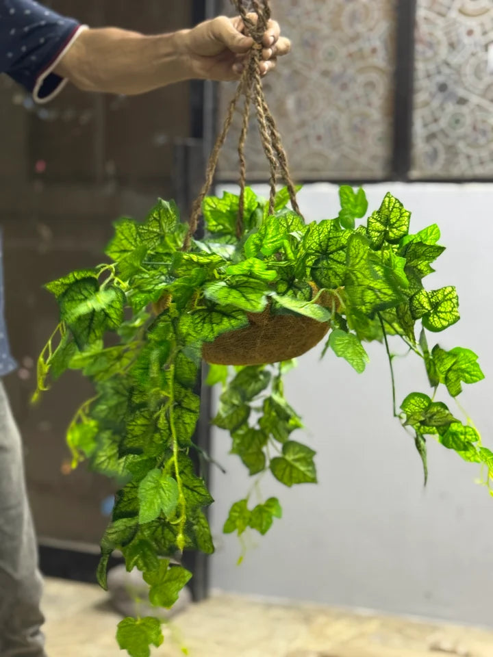 Lvy Hanging Basket