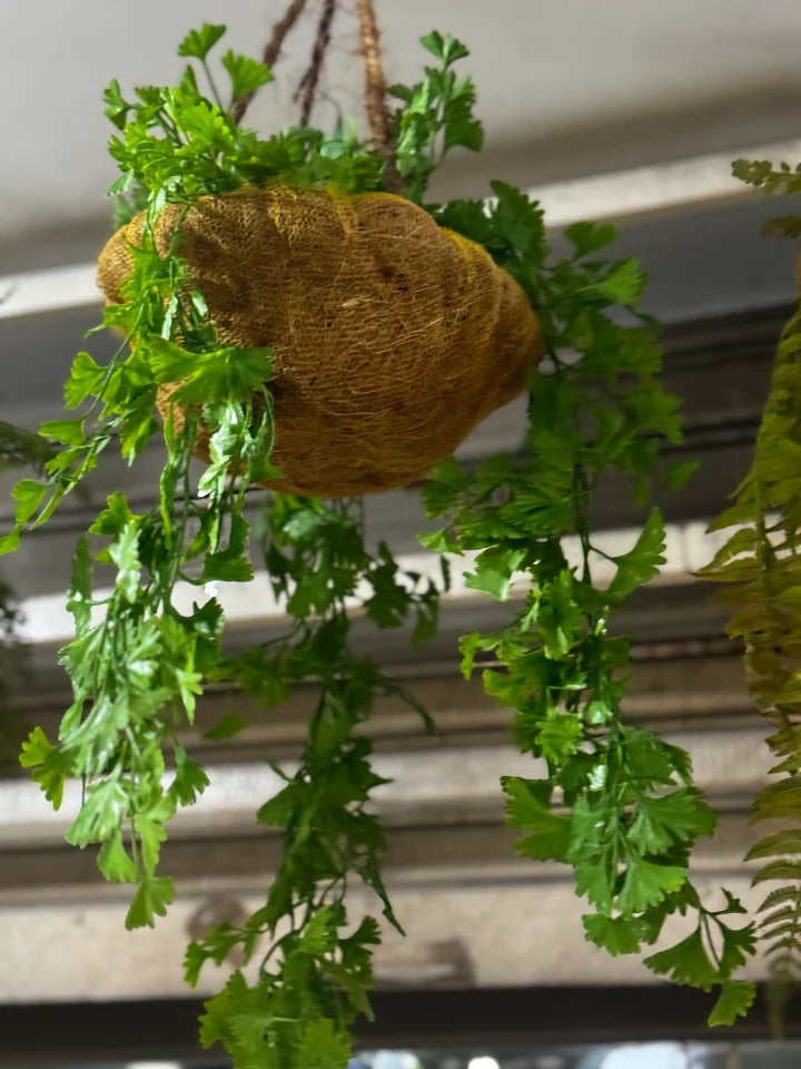 Premium Hanging Baskets
