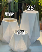 Hexa Planter