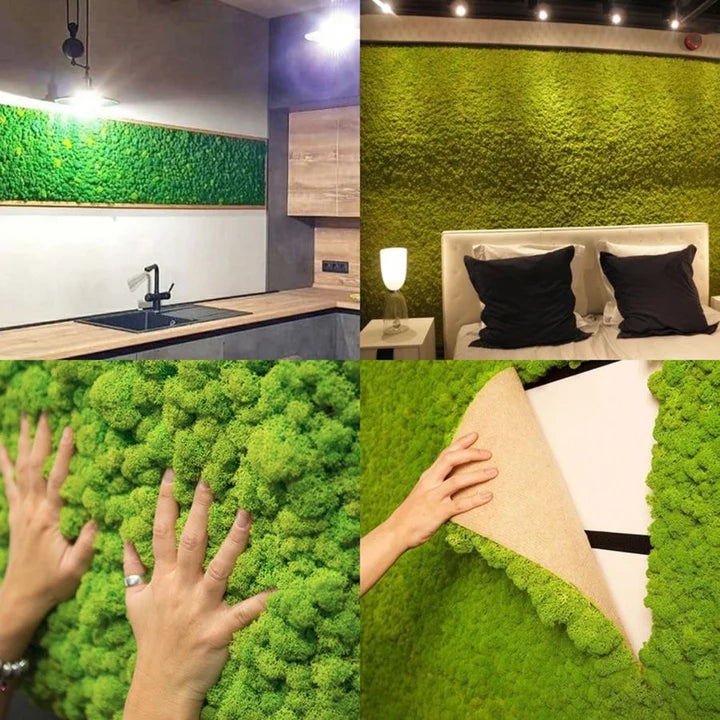 Natural Preserved Moss
