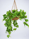 Lvy Hanging Basket