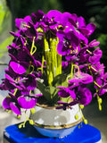 Orchids With Steel Pot