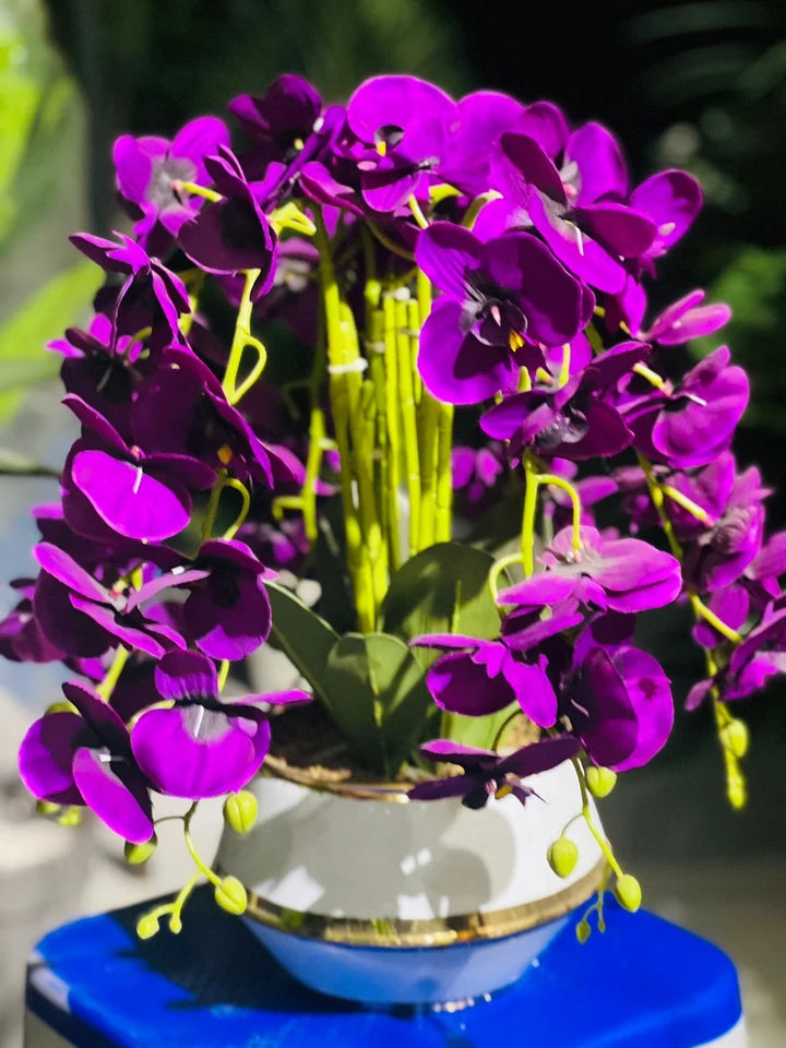 Orchids With Steel Pot