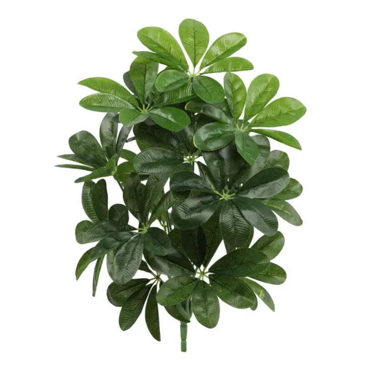 18 Leaves Plant