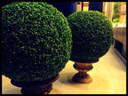 Exclusive Topiaries