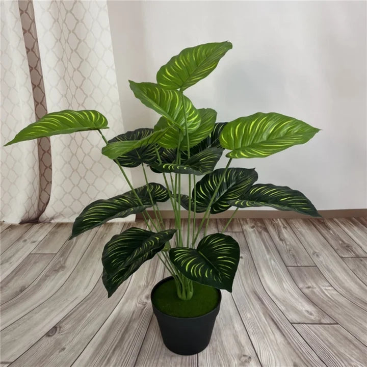 18 Leaves Plant