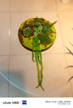 Moss Drift Wall Art