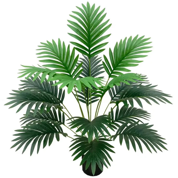 18 Leaves Plant