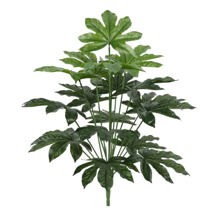 18 Leaves Plant