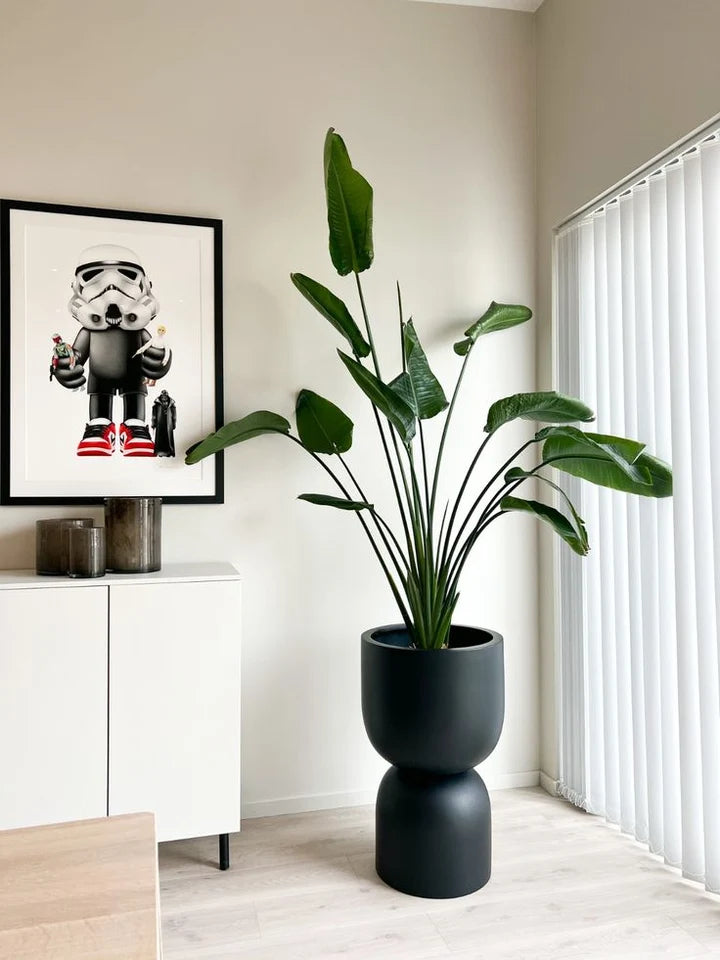 Modern Hourglass Pot